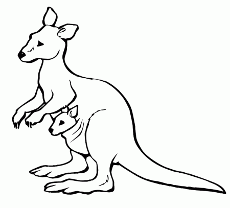kangury-kolorowanki-ze-zwierzetami-2