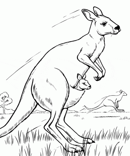 kangury-kolorowanki-ze-zwierzetami-3