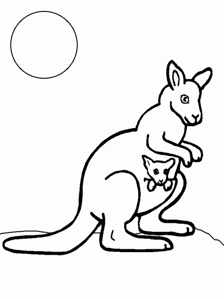 kangury-kolorowanki-ze-zwierzetami-5