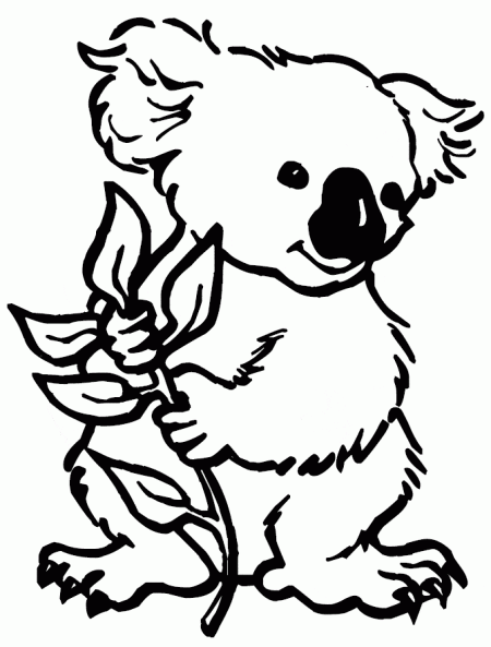 koala-kolorowanki-zwierzeta-1