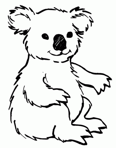 koala-kolorowanki-zwierzeta-2