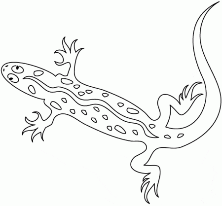 kolorowanki-gekon-jaszczurki-1