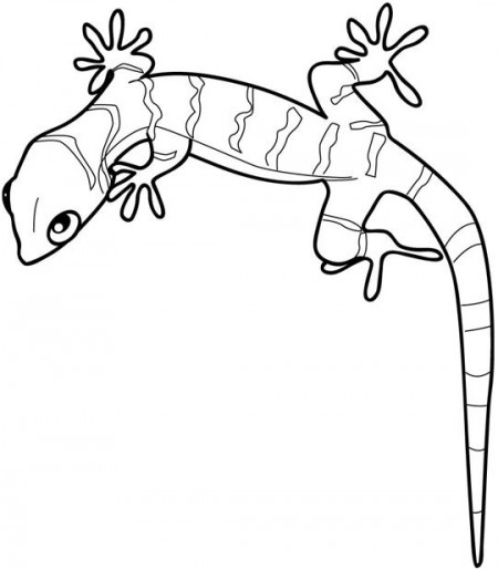 kolorowanki-gekon-jaszczurki-2