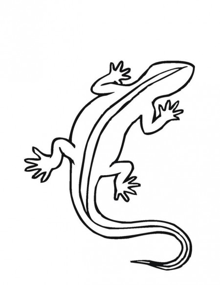 kolorowanki-gekon-jaszczurki-4