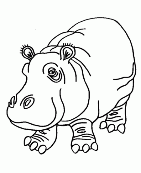 kolorowanki-hipopotam-1