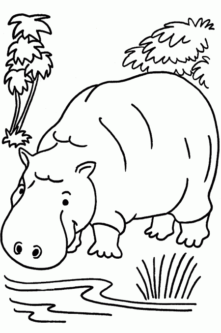 kolorowanki-hipopotam-4