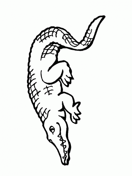 kolorowanki-krokodyl-aligator-1