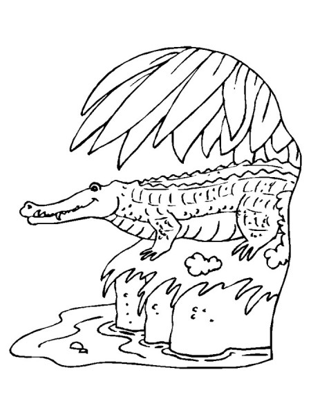 kolorowanki-krokodyl-aligator-3