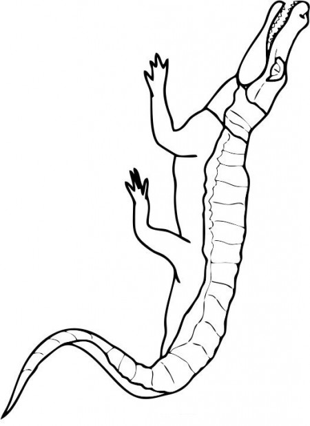 kolorowanki-krokodyl-aligator-5
