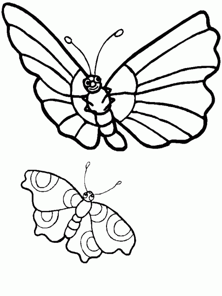 kolorowanki-motyle-owady-18