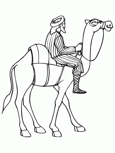 kolorowanki-wielblady-zwierzeta-5