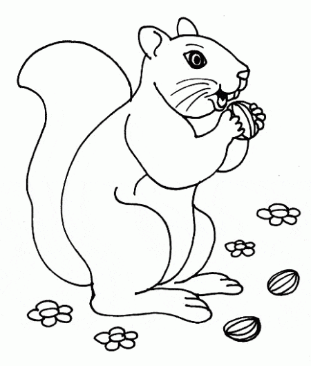 kolorowanki-wiewiorki-zwierzeta-6