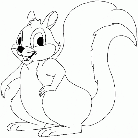 kolorowanki-wiewiorki-zwierzeta-7