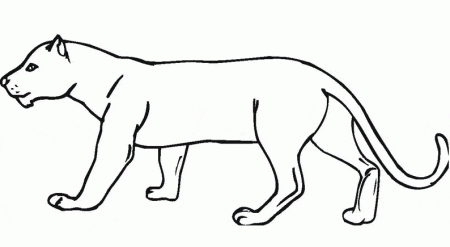 kolorowanki-z-pantera-zwierzeta-2