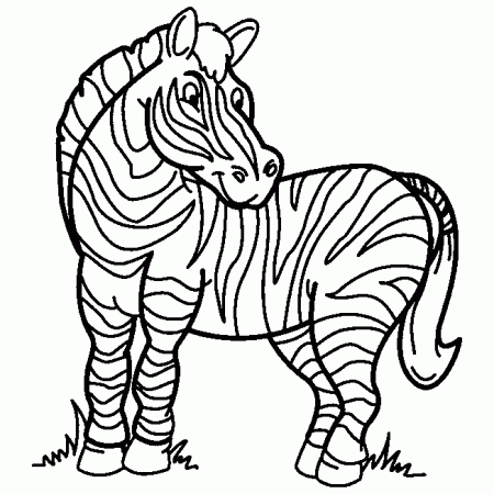kolorowanki-zebra-zwierzeta-2