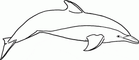 kolorowanki-zwierzeta-delfiny-8