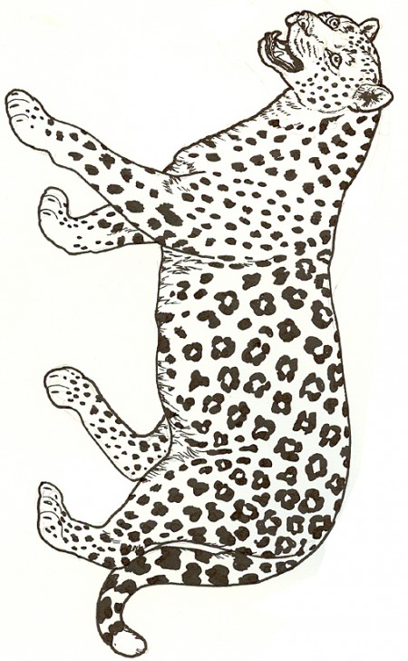 kolorowanki-zwierzeta-leopard-5