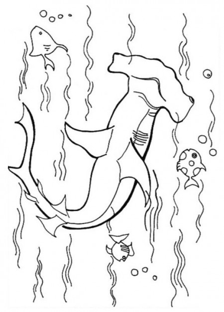 kolorowanki-zwierzeta-rekiny-5