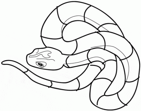 kolorowanki-zwierzeta-weze-gady-10