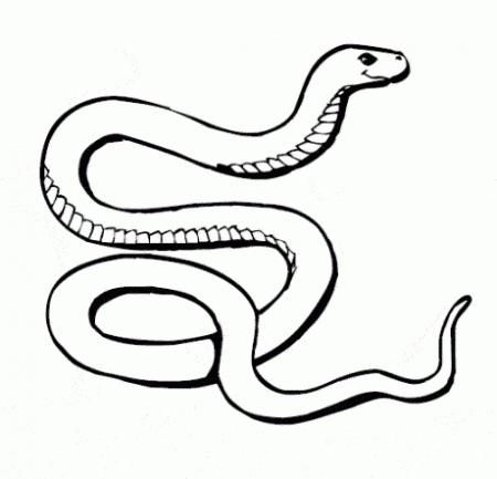 kolorowanki-zwierzeta-weze-gady-4
