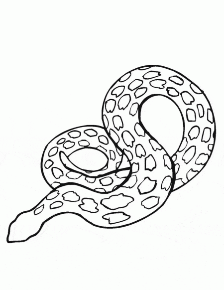 kolorowanki-zwierzeta-weze-gady-9