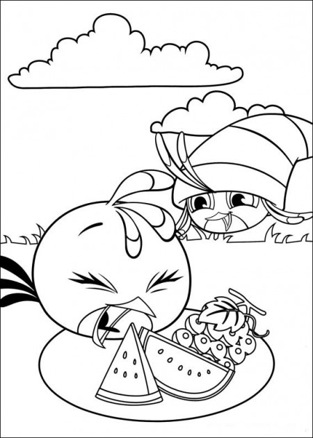 kolorowanki_angry_birds_stella_3