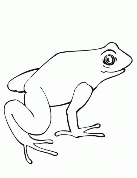 zwierzeta-kolorowanki-zaby-5